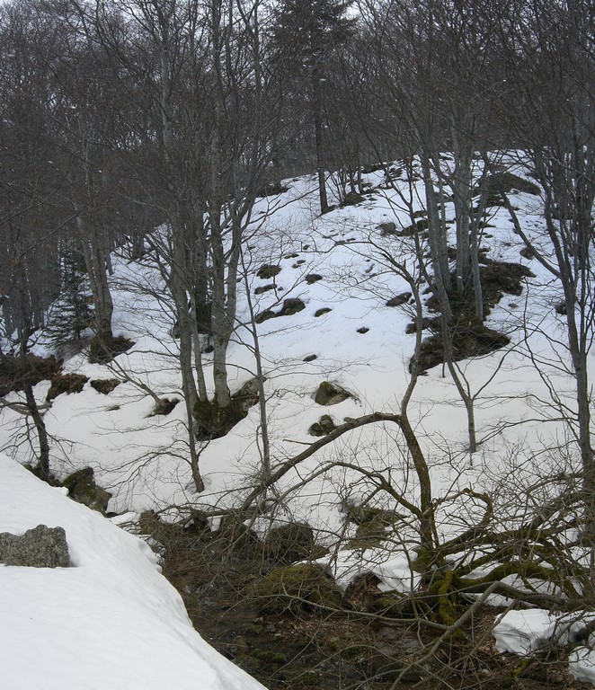 #3 Ruisseau du Chambon : A 1000 m l Ruisseau du Chambon : A 1000 m l'enneigement est encore bon ici.
