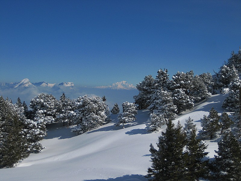 #4 Mont Blanc en fond : Petite pause face au Mont Blanc Mont Blanc en fond : Petite pause face au Mont Blanc