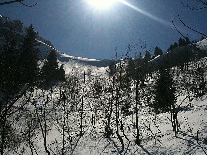 #1 sous le col : sous le col au sortir de la foret sous le col : sous le col au sortir de la foret