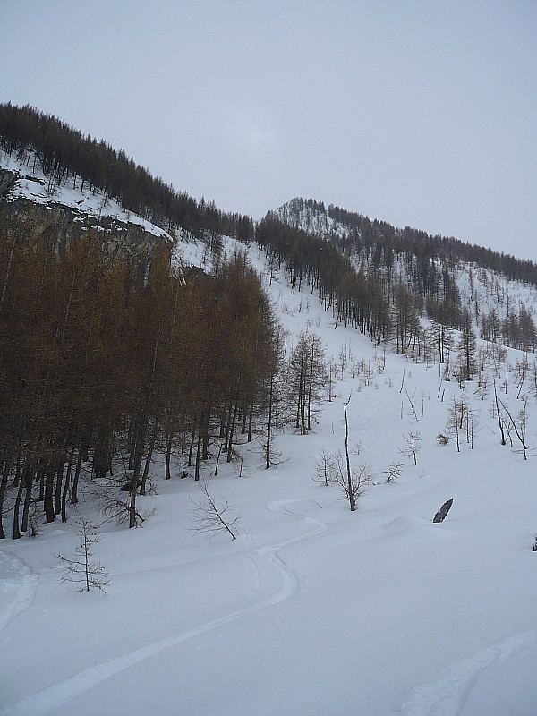 #3 Bonne neige à la lisiére du bois. Bonne neige à la lisiére du bois.