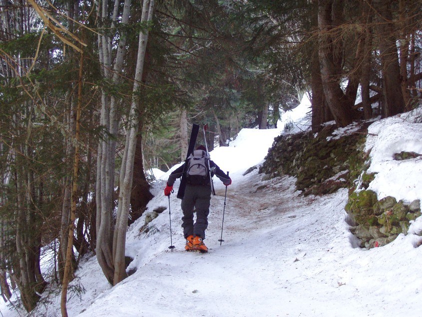 #1 Forêt : Jean-Paul en crampons... Forêt : Jean-Paul en crampons...