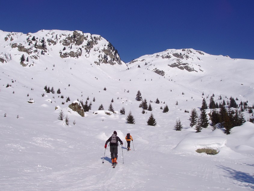 #2 Au dessus de la forêt : On est mieux... Au dessus de la forêt : On est mieux...