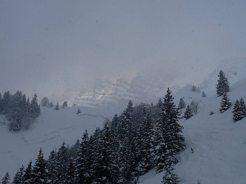 #1 Grand Veymont : Ambiance du départ, on espère passer au dessus des nuages. Grand Veymont : Ambiance du départ, on espère passer au dessus des nuages.