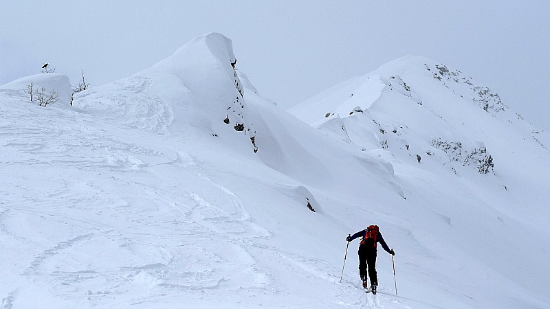 #2 On est presque arrivés : Arrêt au début de la crête, vers 2450 m. On est presque arrivés : Arrêt au début de la crête, vers 2450 m.