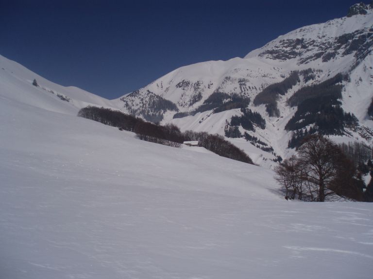 #5 laton SE 4 : Vue du bas de la face laton SE 4 : Vue du bas de la face