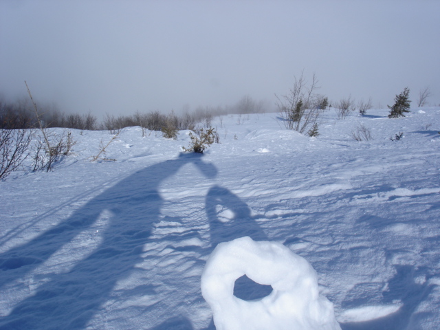 #6 neige : forme neige : forme
