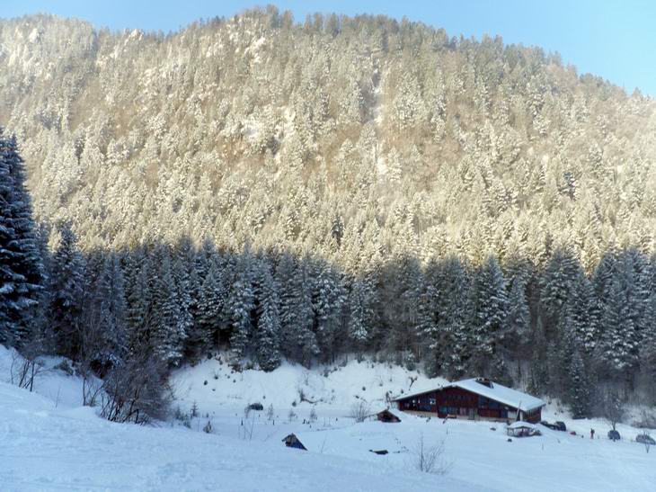 #1 La Ruchère : La glacière est encore bien froide! La Ruchère : La glacière est encore bien froide!
