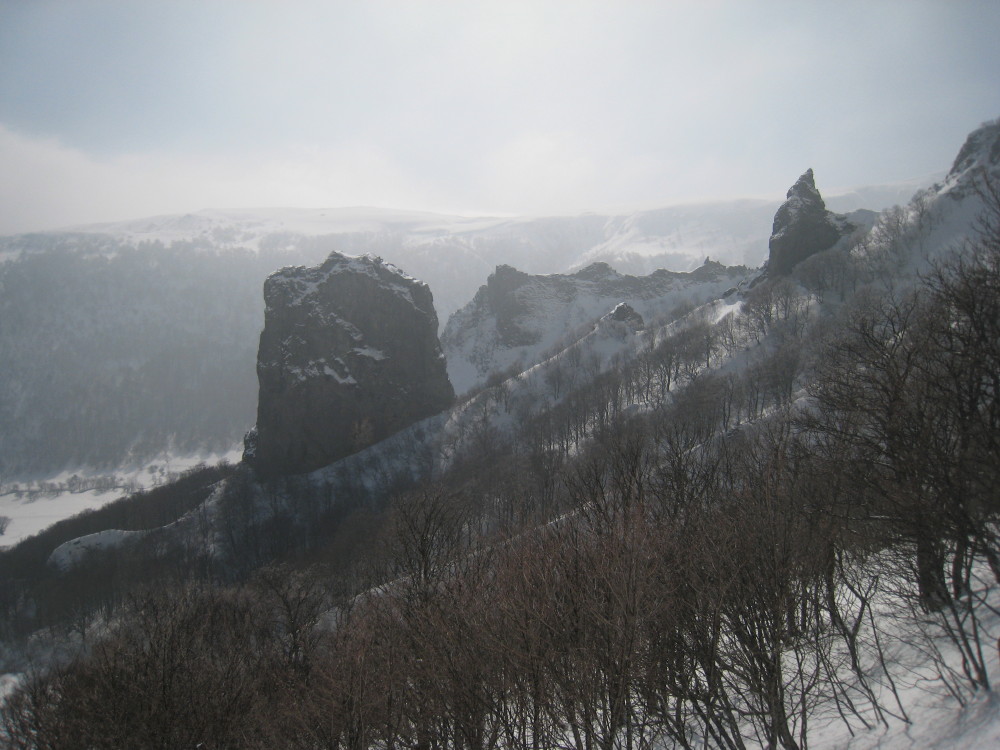 #5 Cailloux : Rancune, Crête de Coq, Rhinocéros Cailloux : Rancune, Crête de Coq, Rhinocéros