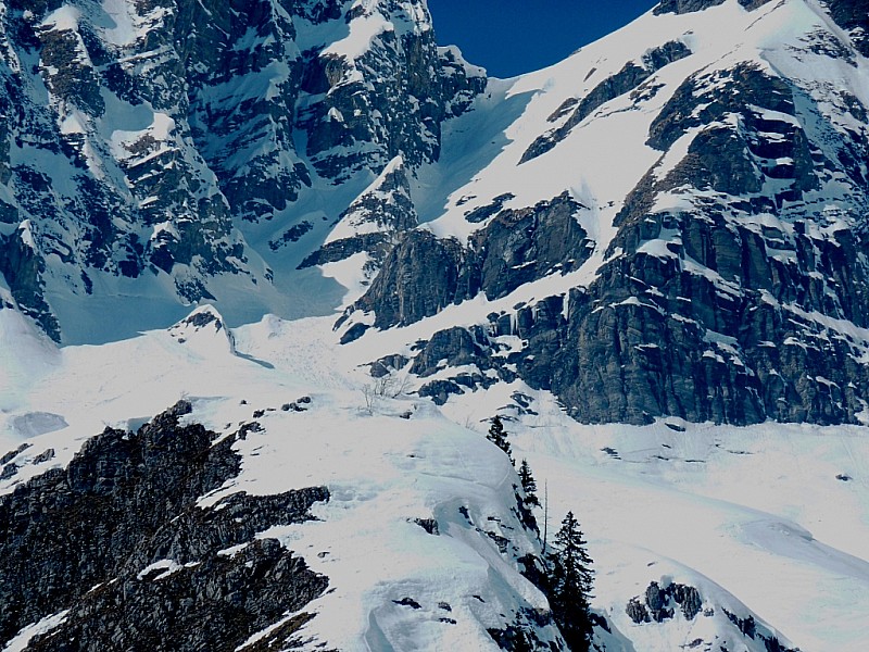 #1 Tête Pelouse couloir Sud : Zoom sur le couloir Sud Tête Pelouse couloir Sud : Zoom sur le couloir Sud