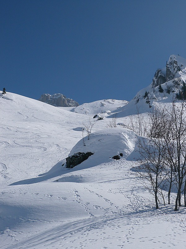 #10 combe nord de la Rouellettaz : Belle combe sauvage , qui nous ramène au point de départ; petite poudreuse sur fond dur pour finir , que du bonheur! combe nord de la Rouellettaz : Belle combe sauvage , qui nous ramène au point de départ; petite poudreuse sur fond dur pour finir , que du bonheur!