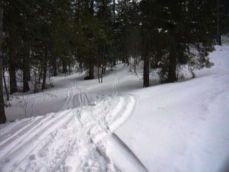 #10 ski forêt : tres bon ski dans la forêt sous le petit som. très bien pour s ski forêt : tres bon ski dans la forêt sous le petit som. très bien pour s'entrainer en stalom géand à fond entre les arbres