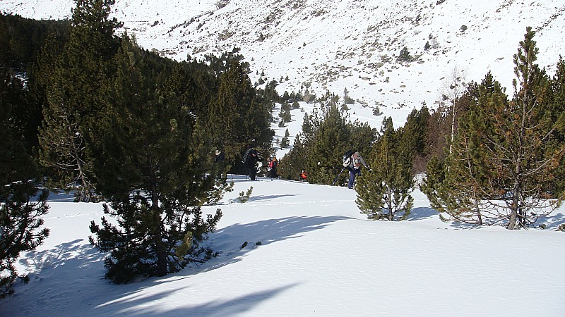 #8 Remontée du vallon de Siscaro : Sur une petite croupe, dans les bois Remontée du vallon de Siscaro : Sur une petite croupe, dans les bois