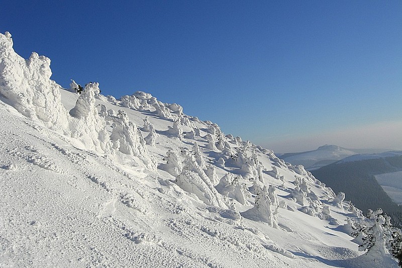 #3 Face ouest : Une très bonne neige de ce côté, c Face ouest : Une très bonne neige de ce côté, c'est rare!