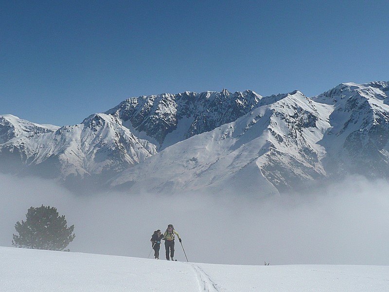 #2 ambiance : sortie du bois Henri ambiance : sortie du bois Henri