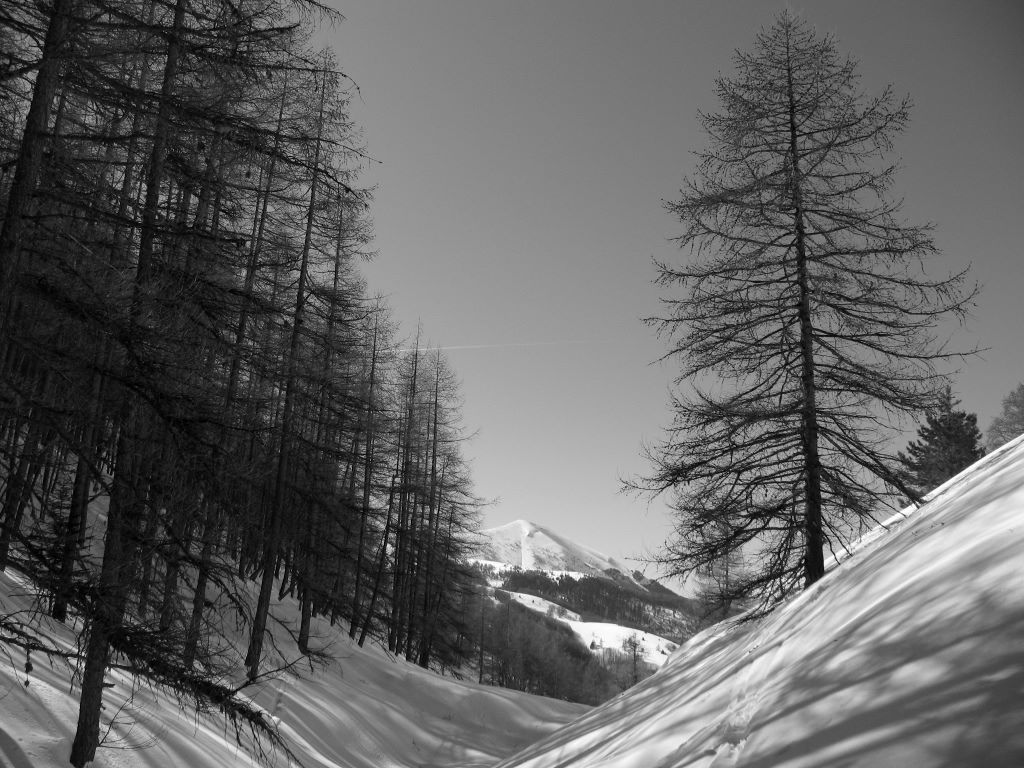 #2 Combe du Torrent... : ...du Col de Gleize Combe du Torrent... : ...du Col de Gleize