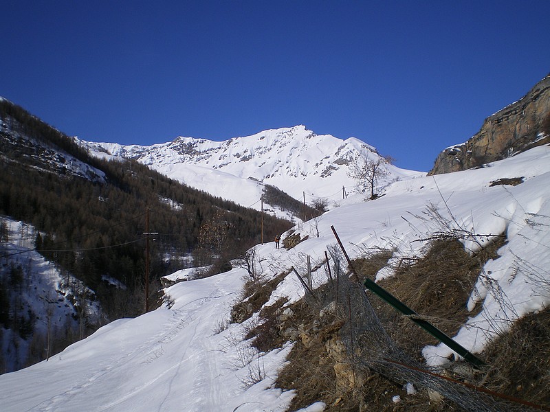 #1 Cime Nègre : Départ sur le sentier rive gauche du torrent de Roya et le début de l Cime Nègre : Départ sur le sentier rive gauche du torrent de Roya et le début de l'épaule de l'Alp au fond