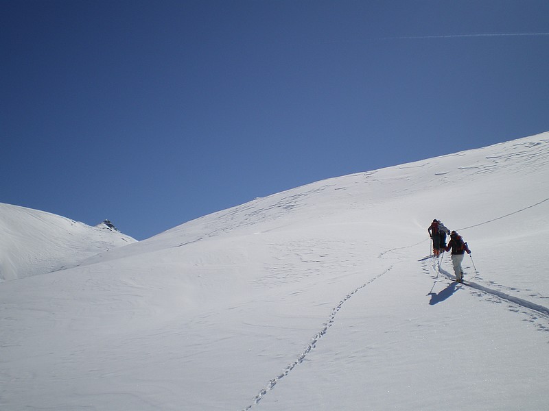 #4 Cime Nègre : L Cime Nègre : L'objectif est en vue mais paraît encore bien loin