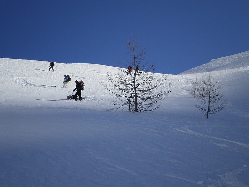 #10 Cime Nègre : C Cime Nègre : C'est à l'approche du torrent de Sallevieille que nous trouverons la meilleure neige