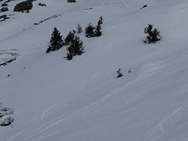 #2 çà y çà y'est c'est couvert ! : tiens! je reconnais ma trace de descente de dimanche!