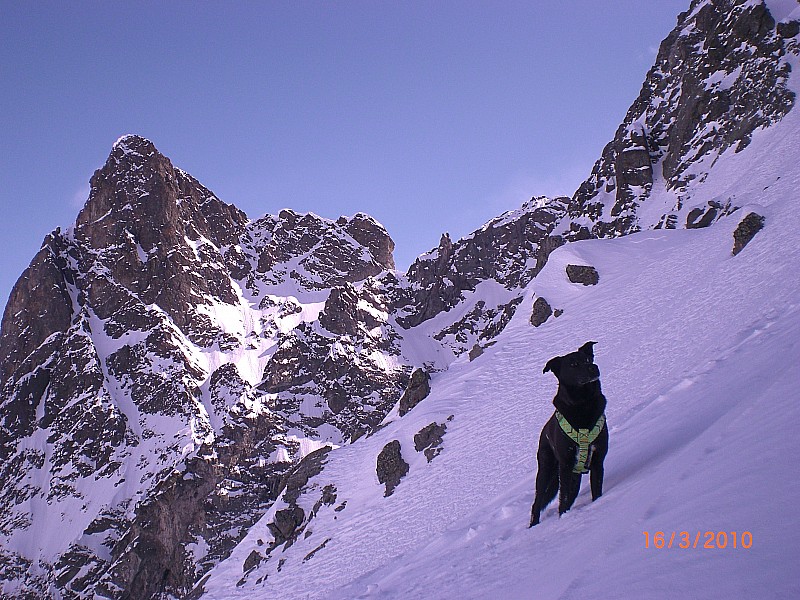 #3 Couloir N pics du Casset : A gauche, vers les pointes Sainte Marguerite et la sortie du Petit Davin. Couloir N pics du Casset : A gauche, vers les pointes Sainte Marguerite et la sortie du Petit Davin.