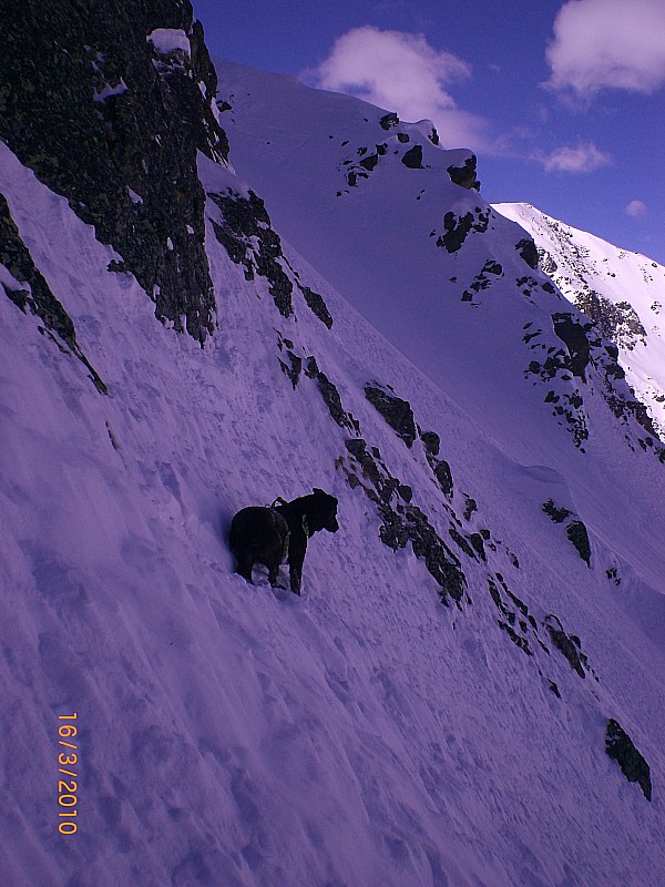 #8 Couloir N pics du Casset : Plus bas, le passage vers la branche droite du Y Couloir N pics du Casset : Plus bas, le passage vers la branche droite du Y