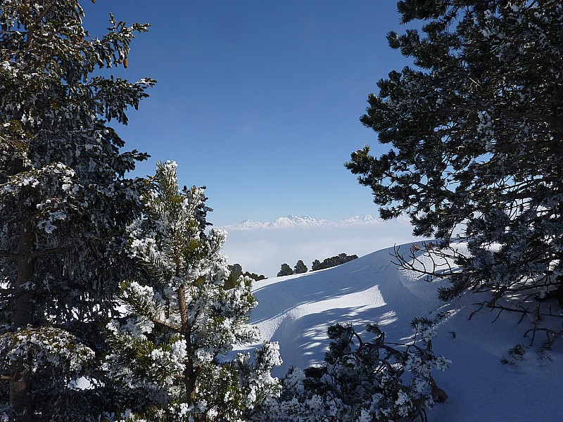 #4 Vue sur Belledonne : Encore au soleil Vue sur Belledonne : Encore au soleil