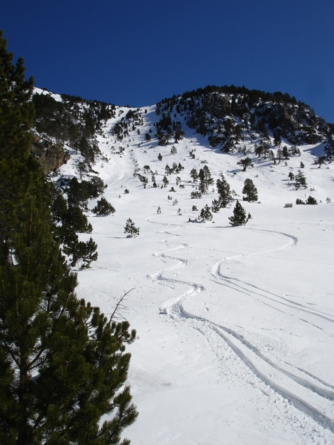 #6 Vue d Vue d'en bas : Nous serons les seuls à faire cette ballade aujourd'hui. Pas de nouvelles traces en perspective dans ce petit coin tranquille