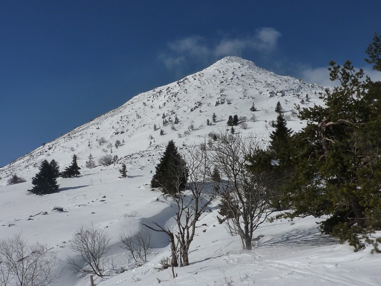 #1 Mézenc : Etat de l Mézenc : Etat de l'enneigement du triangle E.