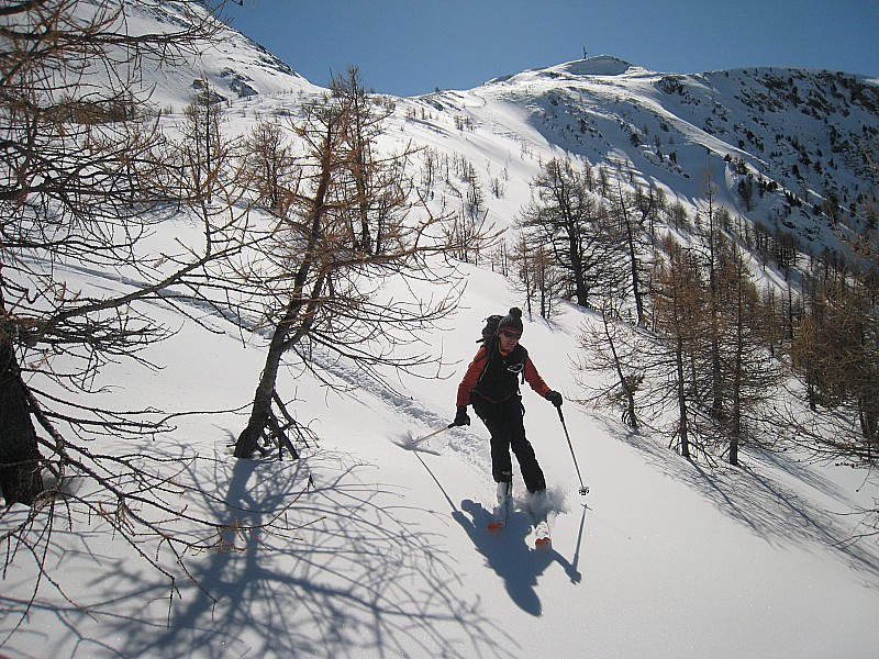 #2 col de la lauze : la forêt col de la lauze : la forêt