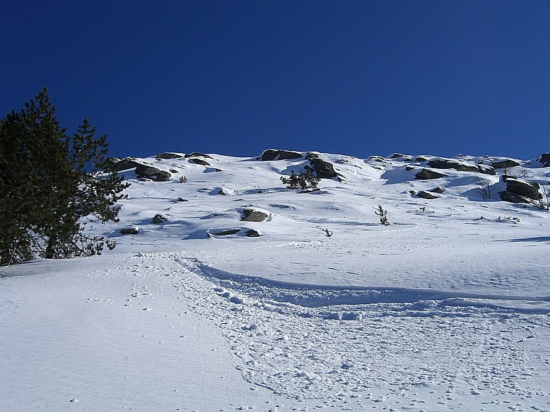 #5 Suc de Montfol : Trace dans la pente nord Suc de Montfol : Trace dans la pente nord