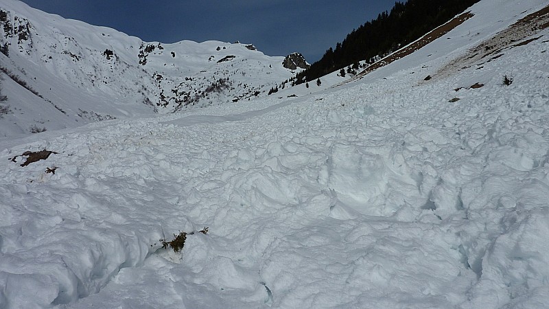#1 bas du vallon : Les purges du bas du vallon bas du vallon : Les purges du bas du vallon