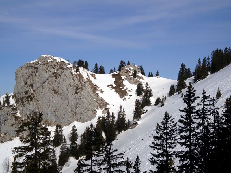 #2 Sous la Suffière : Voir les 3 chamois Sous la Suffière : Voir les 3 chamois