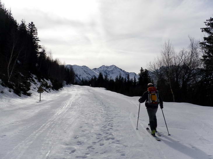 La route : Long est le chemin pour arriver ici petit scarabée!