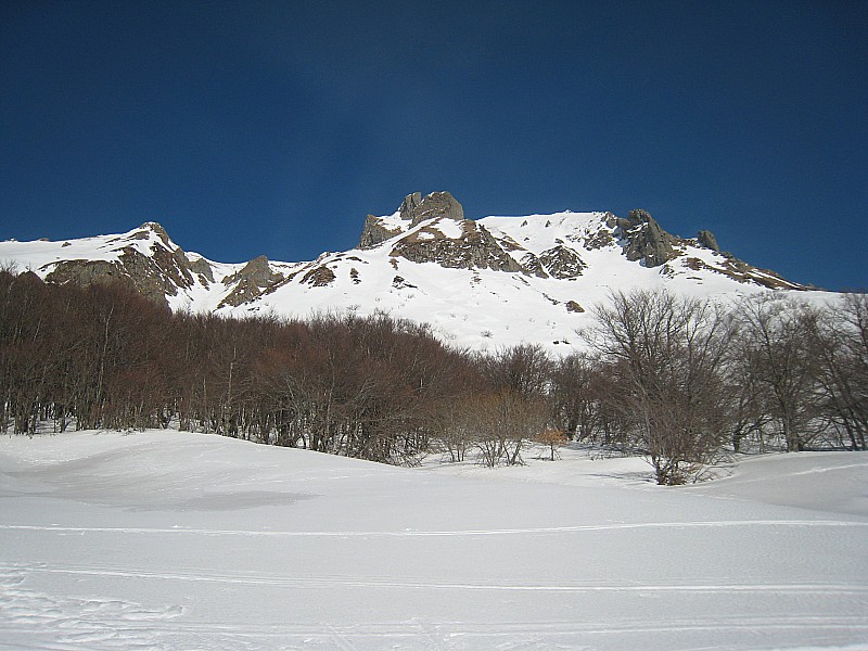 #9 Sancy : vu depuis la Fontaine salée Sancy : vu depuis la Fontaine salée