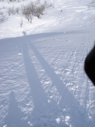 #7 ombre de moi même dans la com : 10cm de poudre sur un sol dure ombre de moi même dans la com : 10cm de poudre sur un sol dure