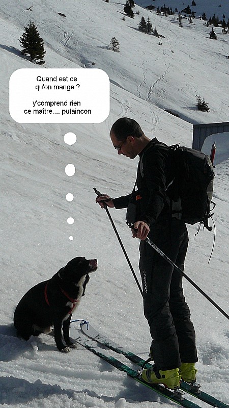 #7 homme-chien : incompréhension homme-chien : incompréhension