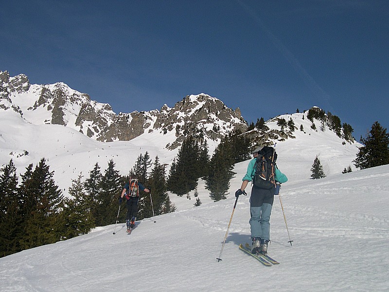 sortie de la foret : déja au soleil