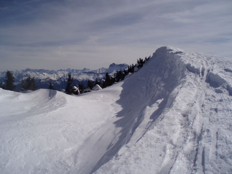 #3 Barral2 : A gauche le versant N , ou nous allons passer pour longer la corniche par dessous. Il est gavé de neige avec des sapins enfouis ! Barral2 : A gauche le versant N , ou nous allons passer pour longer la corniche par dessous. Il est gavé de neige avec des sapins enfouis !