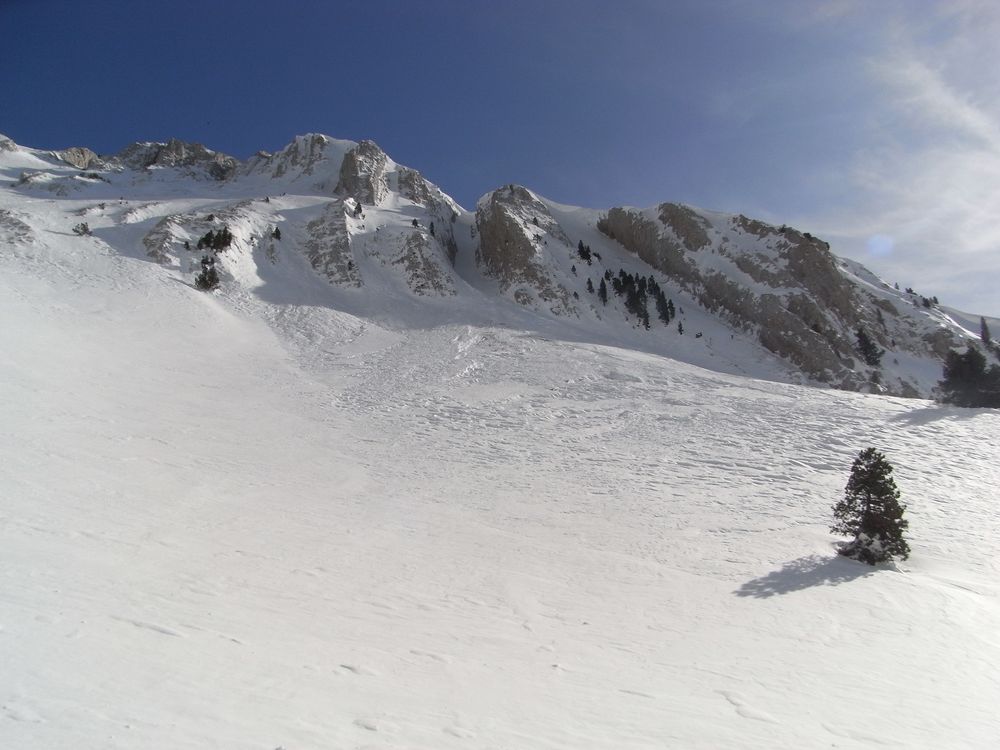 #6 Raie des fesses : L Raie des fesses : L'inévitable raie, cornichée à souhait, pour une autre fois (il y a de quoi au Veymont)
