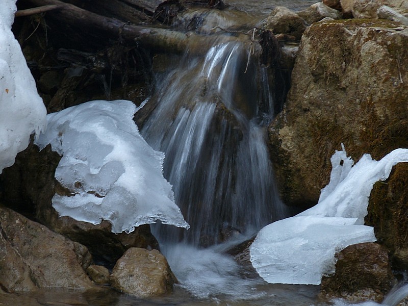#1 le Rau de Bellefond : ça sent le printemps, l le Rau de Bellefond : ça sent le printemps, l'eau est de plus en plus présente.