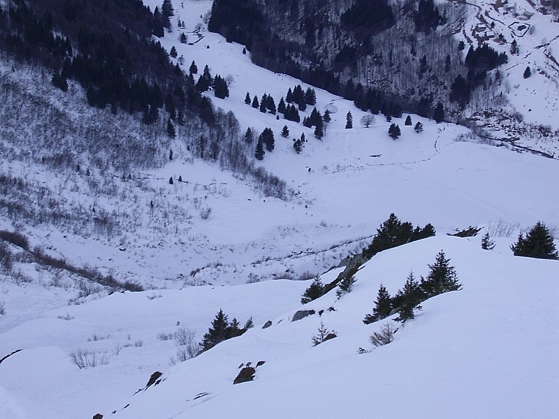 #1 côté veve : la grizzlyteam en poursuivants côté veve : la grizzlyteam en poursuivants