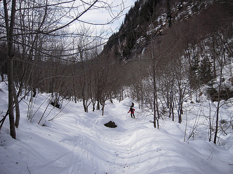 #5 les avoudrues : dans la foret les avoudrues : dans la foret