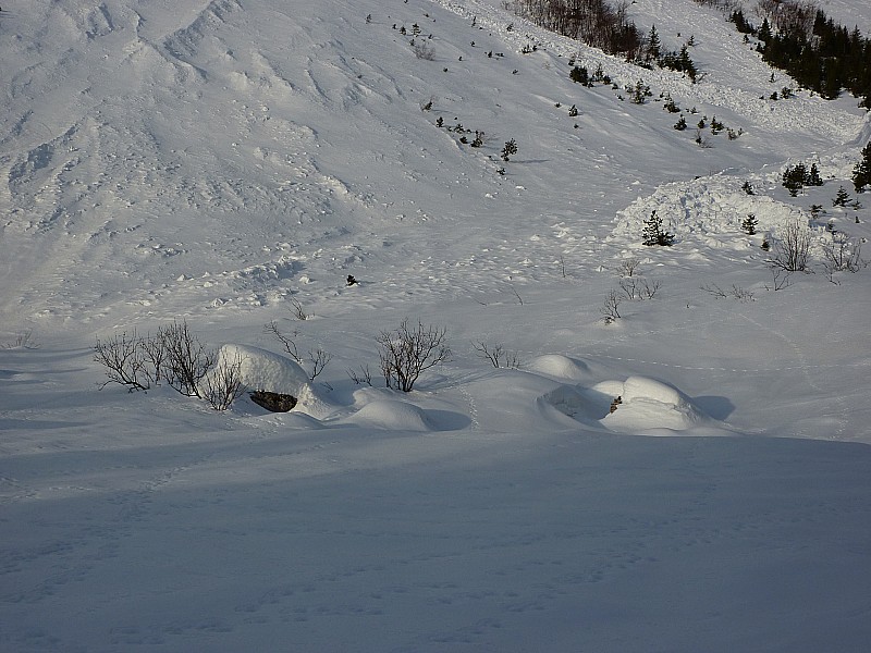 #36 Point 1286m : Les grosses purges sont descendues Point 1286m : Les grosses purges sont descendues