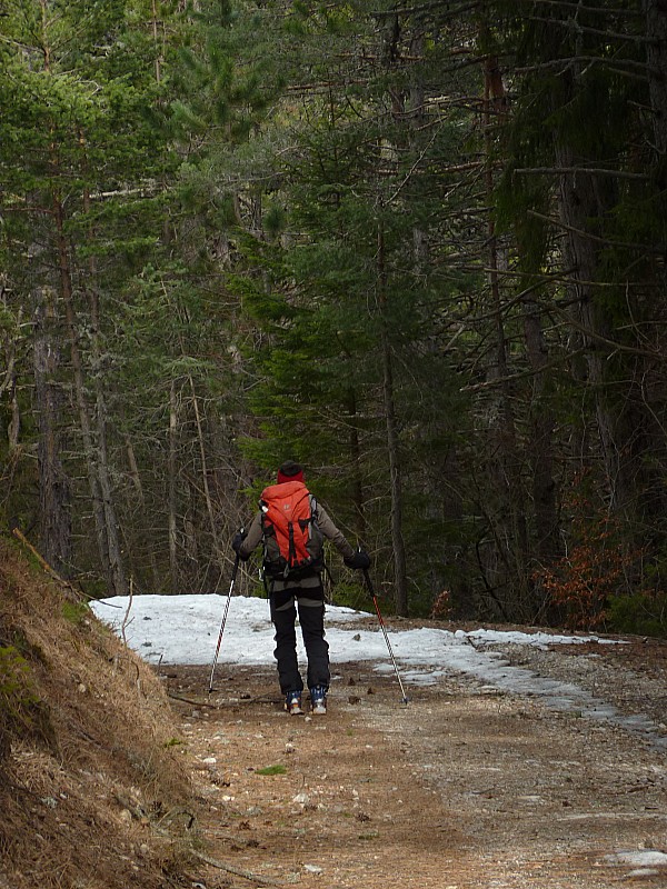 #29 Route forestière : Isa refait les semelles en fin de saison. Avant ça ne sert à rien. Route forestière : Isa refait les semelles en fin de saison. Avant ça ne sert à rien.