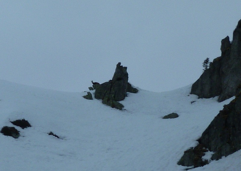 #2 col du pertuis : sous l col du pertuis : sous l'oeil averti des maitres des lieux