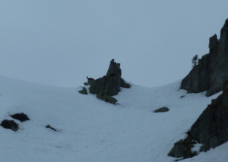 col du pertuis : sous l'oeil averti des maitres des lieux