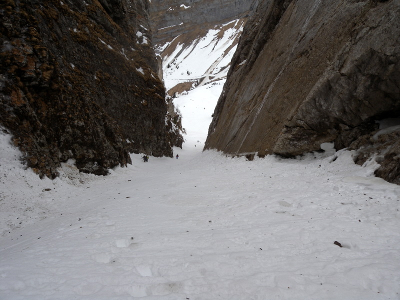 #1 Coillu : Un petite idée de la neige ... Coillu : Un petite idée de la neige ...