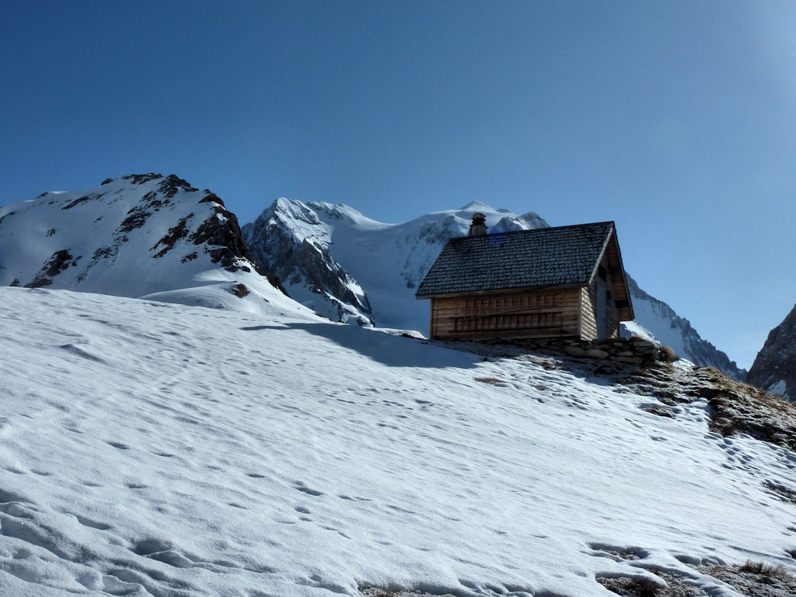 #3 Le chalet des Gardes (2431 m) : Un renard rôde dans le secteur. Le chalet des Gardes (2431 m) : Un renard rôde dans le secteur.