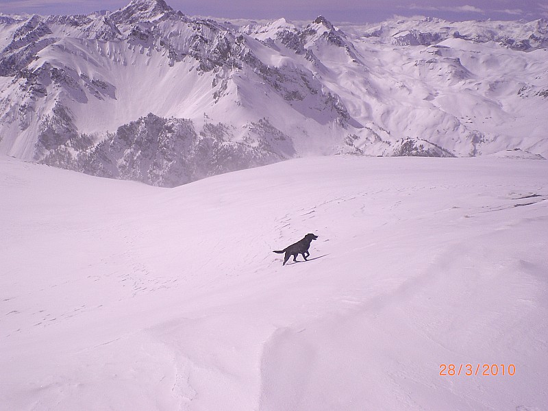 #5 Clot la Cime : vue sur le Queyras voisin. Clot la Cime : vue sur le Queyras voisin.