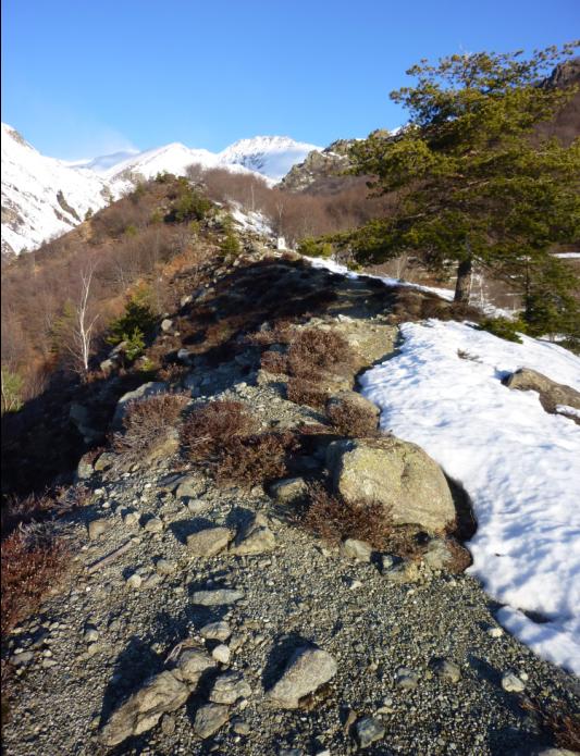 #2 Vallon de Rocciavre : ...mais pas pour longtemps : leger fourvoyage au depart Vallon de Rocciavre : ...mais pas pour longtemps : leger fourvoyage au depart